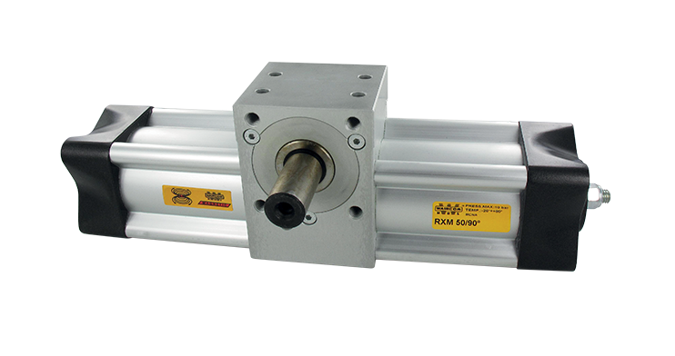 Pneumatic rotary cylinders male pinion RX - Rotary pneumatic cylinders